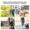 A dog walking belt with a waist pocket and bungee leash is shown being used for dog training.