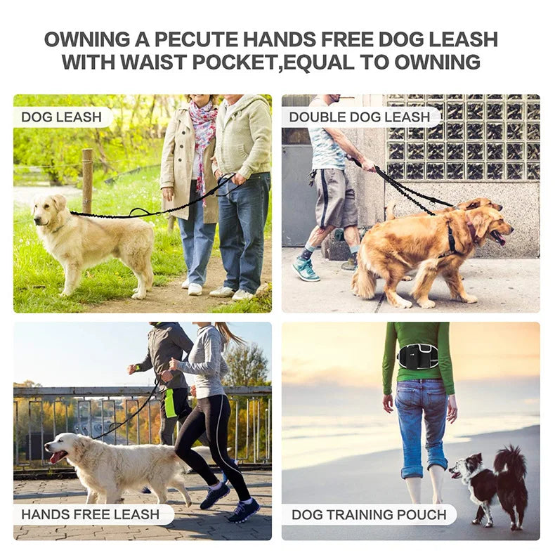 A dog walking belt with a waist pocket and bungee leash is shown being used for dog training.