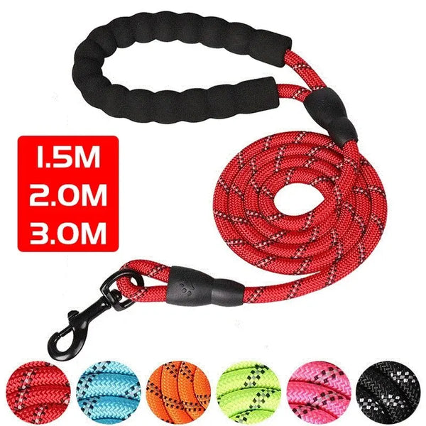 Un ensemble de laisses pour chiens réfléchissantes rouges et noires, incluant une laisse enroulée et divers crochets de taill