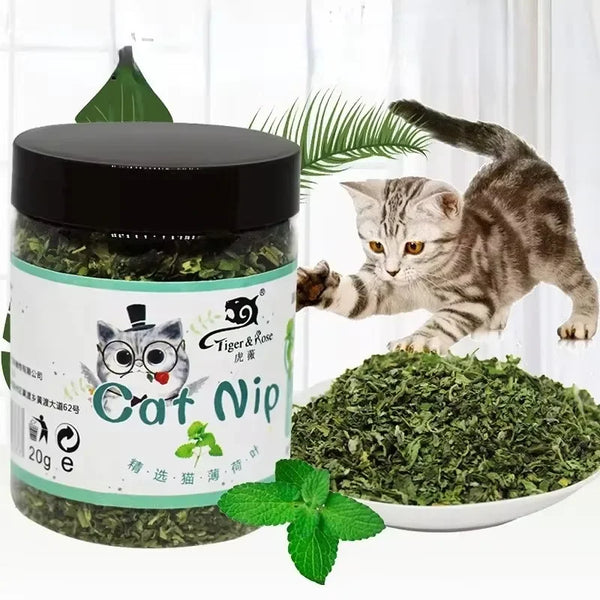 A jar of Cat Nip product next to a cat playing with the plant and loose dried green leaves.