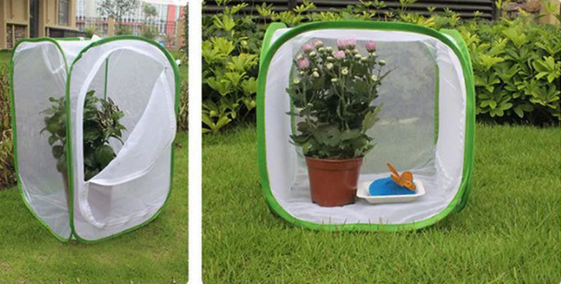 قفص حشرات قابل للطي موئل شبكي لتربية الفراشات