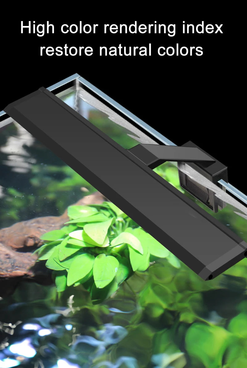 Lampe LED à clipser pour aquarium, fine, idéale pour la croissance des plantes