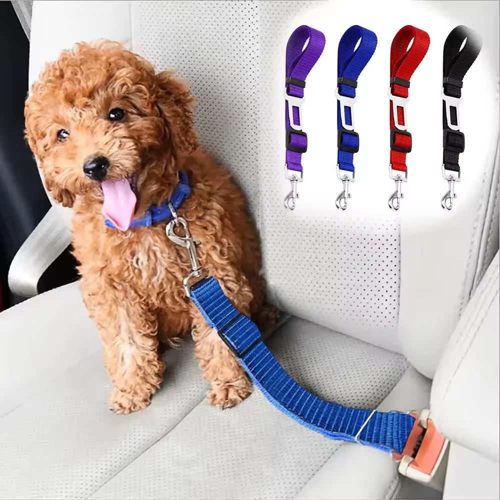 A fluffy brown dog is sitting on a white seat with an adjustable pet car safety harness and seat belt clip displayed.