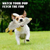 A small dog is enthusiastically fetching a white plush squeaky toy with crinkle texture in a grassy outdoor setting.