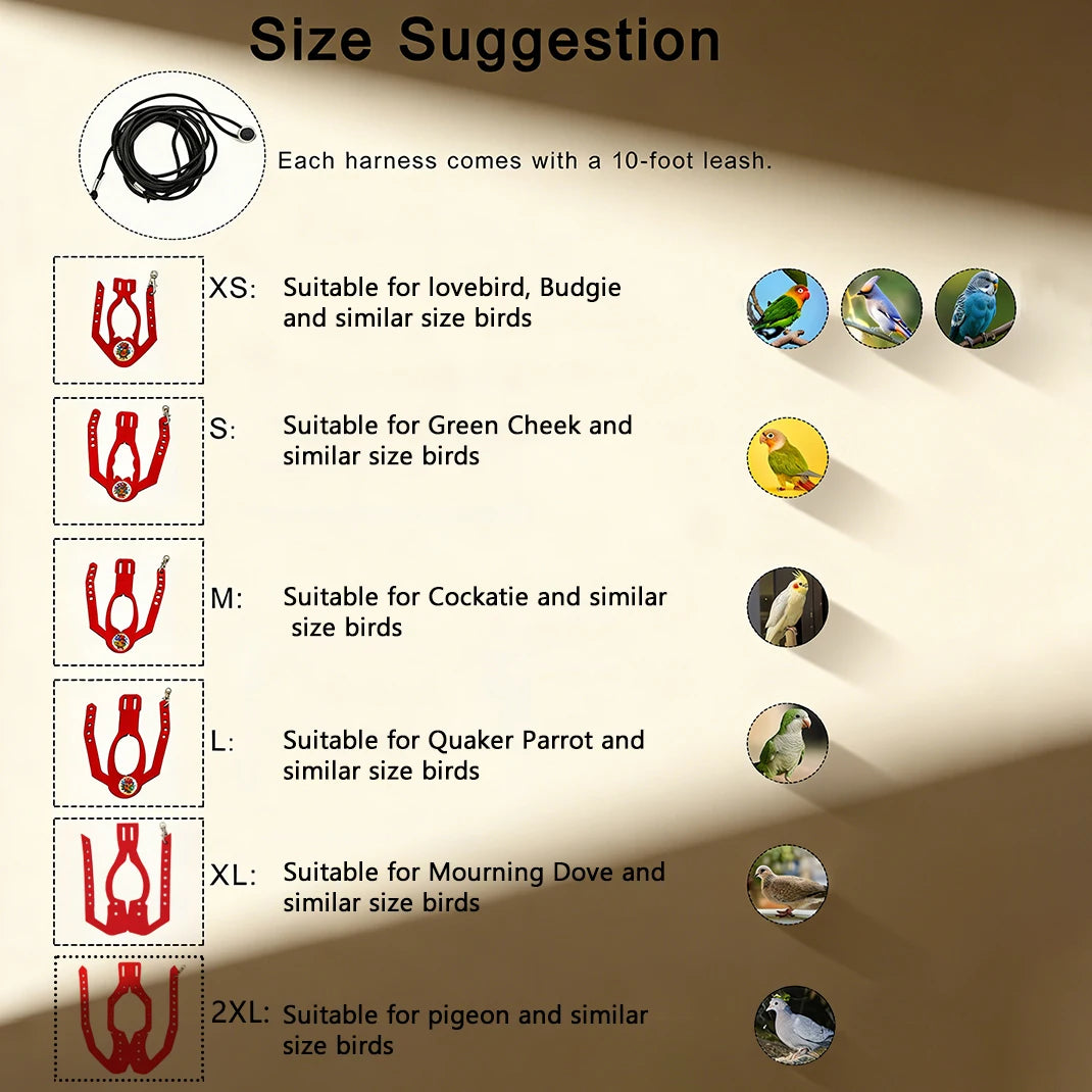 Diagram showing size suggestions for a parrot harness, ranging from XS to 2XL, with corresponding bird examples.