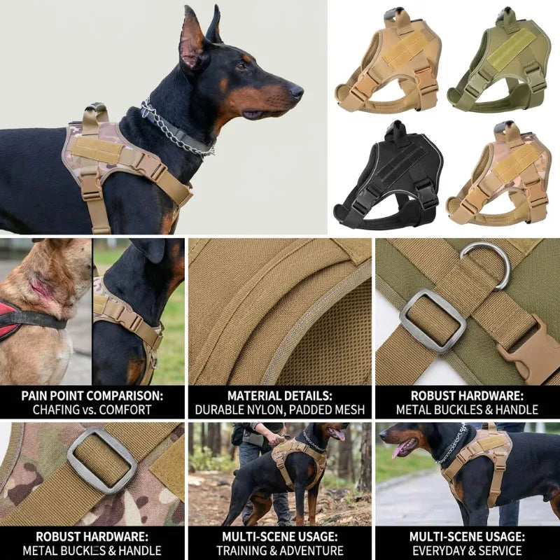 A brown dog wearing a tan tactical harness for training and adventure use.