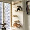 Wall-Mounted Cat Climbing Shelves with Hammock and Scratching Post