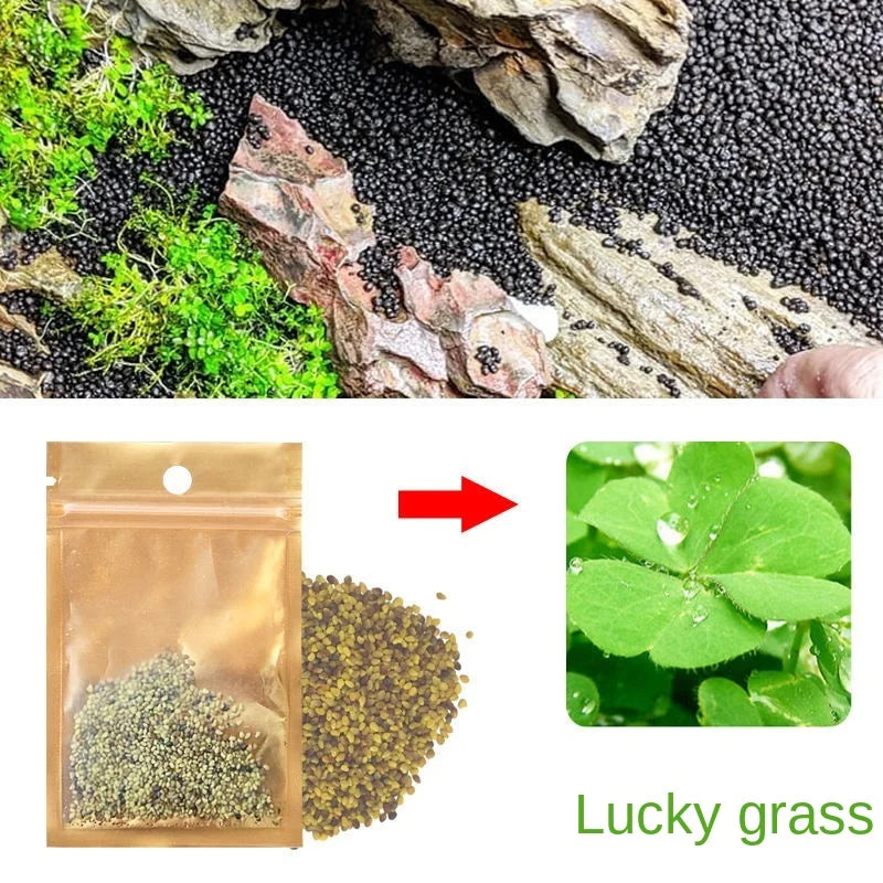 A pouch of Lucky grass seeds next to a piece of rock and green moss.