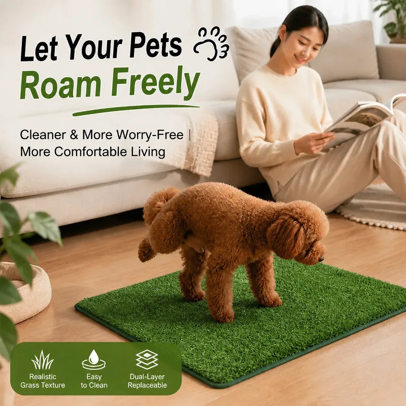 A fluffy brown dog is standing on a green, textured mat indoors while a woman reads nearby.