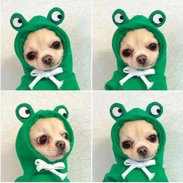 A cute frog-shaped green hoodie with a dog's face design for pets.