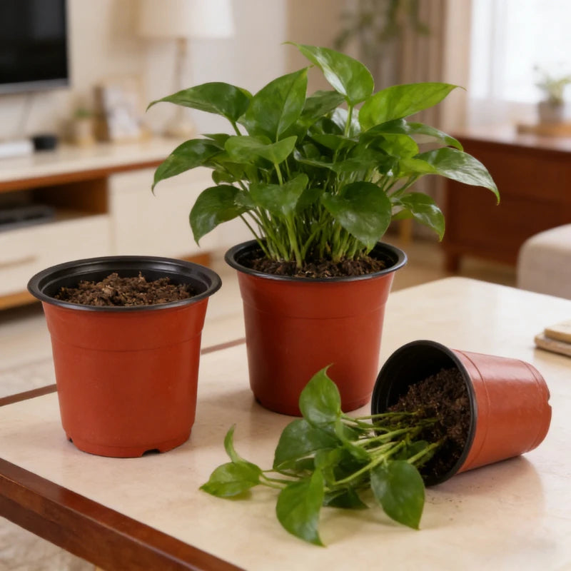 Plastic Plant Nursery Pots with Drainage Holes (Set of 10)
