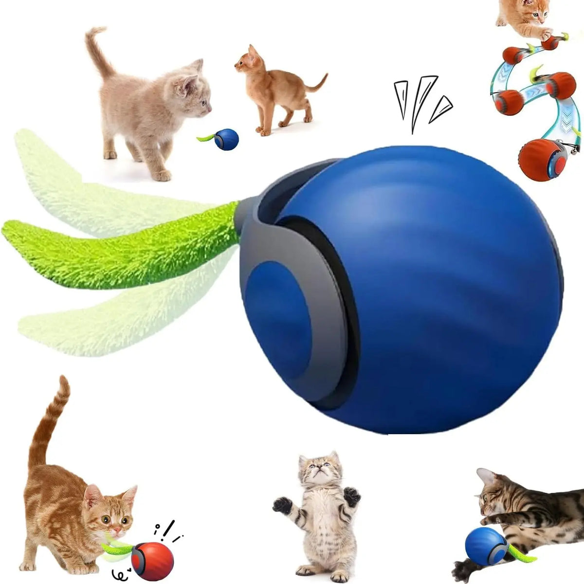 Blaues, smartes interaktives Spielzeugkugel für Katzen mit verschiedenen Katzen und Spielzeugen