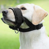 A white dog wearing a black comfortable adjustable muzzle for training or walks.