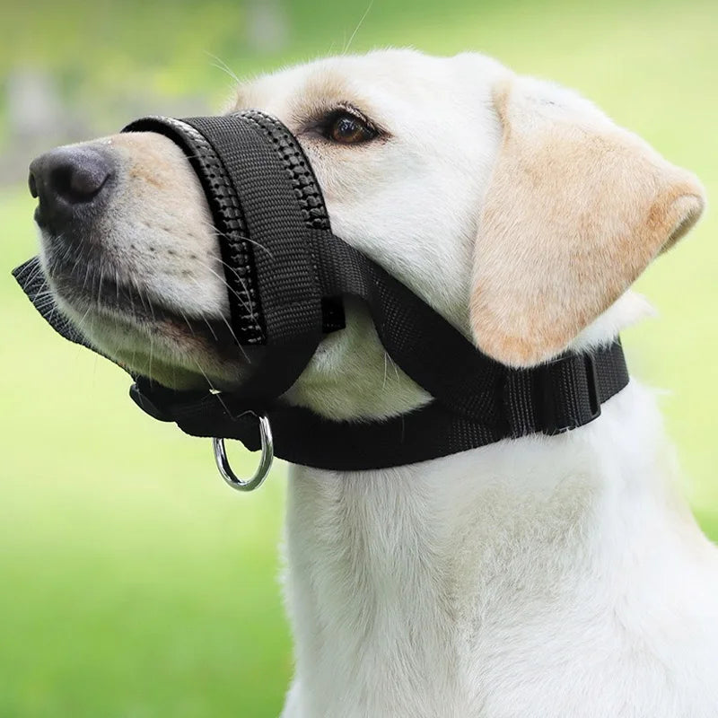 A white dog wearing a black comfortable adjustable muzzle for training or walks.