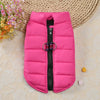 Windproof Padded Dog Coat for Small Breeds