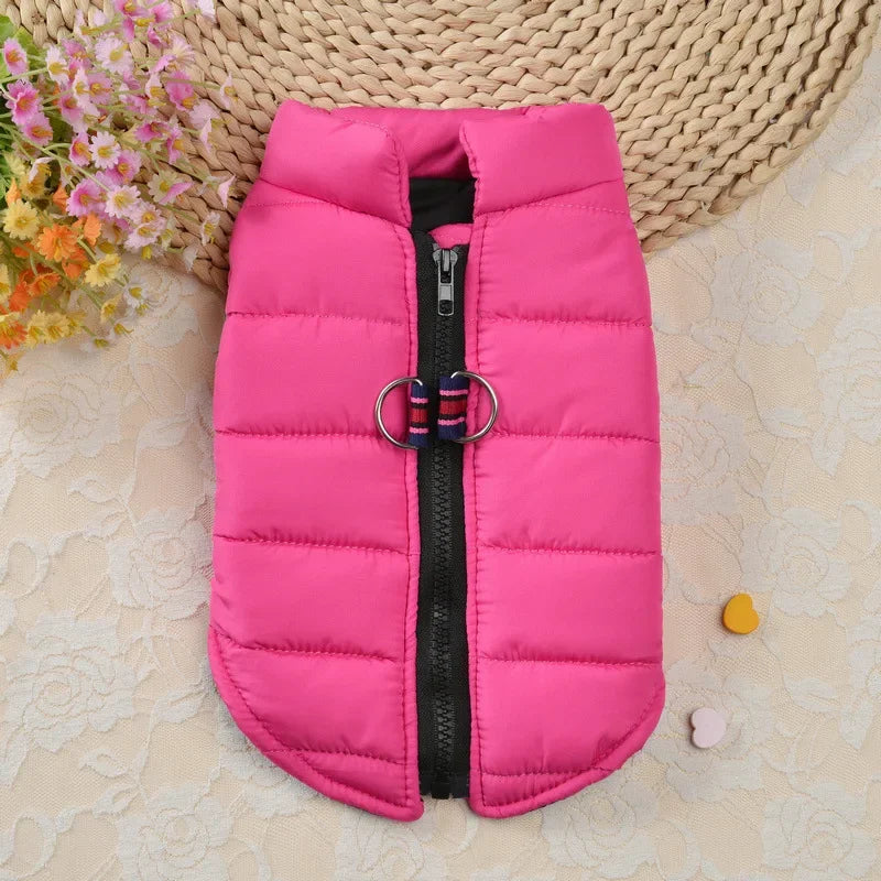 Windproof Padded Dog Coat for Small Breeds