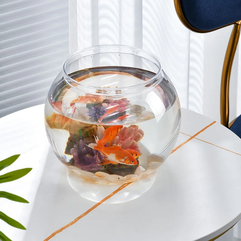 Bassin Transparent en PET pour Poisson Betta