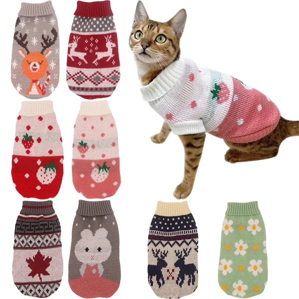 A fluffy orange tabby cat wearing a festive knitted sweater with red and white patterns.