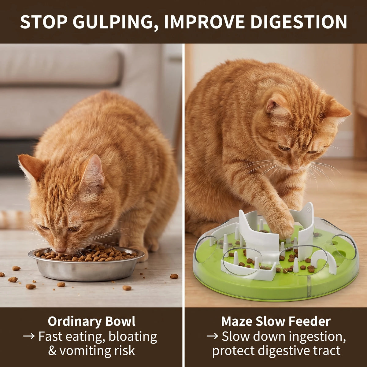 A cat is using a green puzzle feeder bowl to slow down eating and improve digestion.
