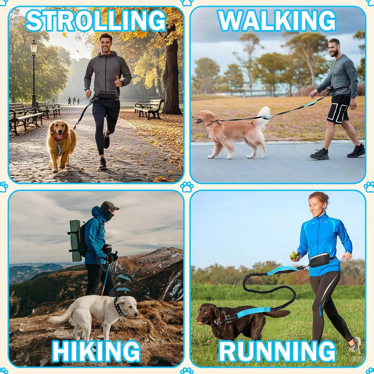 Four panels showing various dog activities: strolling, walking, hiking, and running.