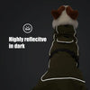 Windproof Waterproof Dog Vest with Reflective Strips and Adjustable Harness