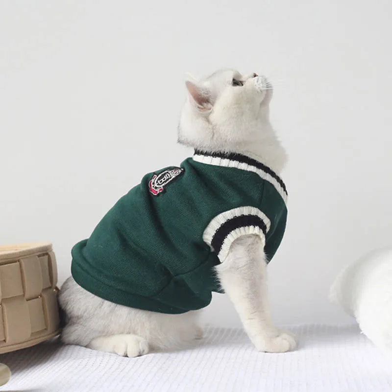 A white cat wearing a dark green sweater with a black trim and a small patch on its chest.