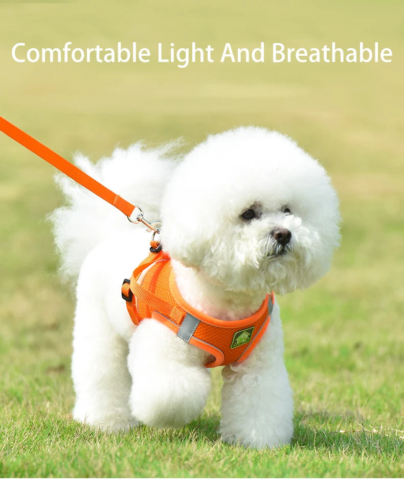 A fluffy white dog wearing an orange vest harness with a bright orange leash outdoors.