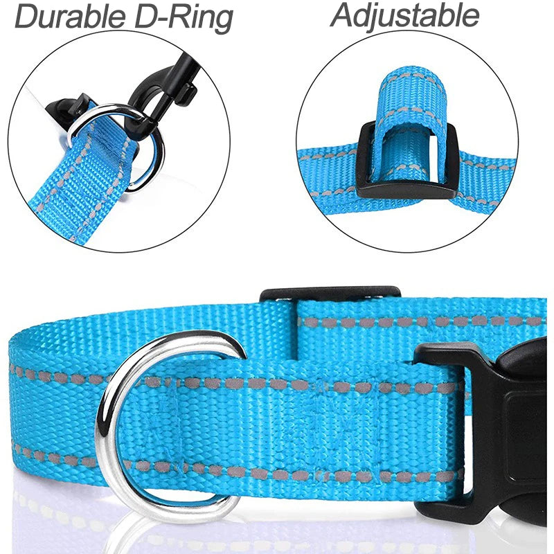 Decorative Nylon Dog Collar with Buckle Closure