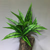 Lifelike Tropical Artificial Palm Plant for Indoor and Outdoor Decor