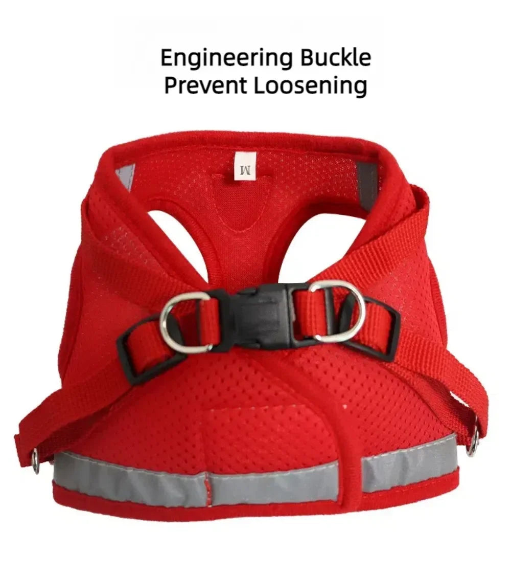 Adjustable Escape-Proof Mesh Harness and Leash Set for Cats and Small Dogs