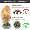 Slow Feeder Dog Bowl with Non-Slip Base