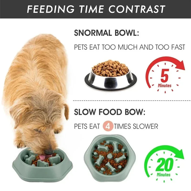 Slow Feeder Dog Bowl with Non-Slip Base