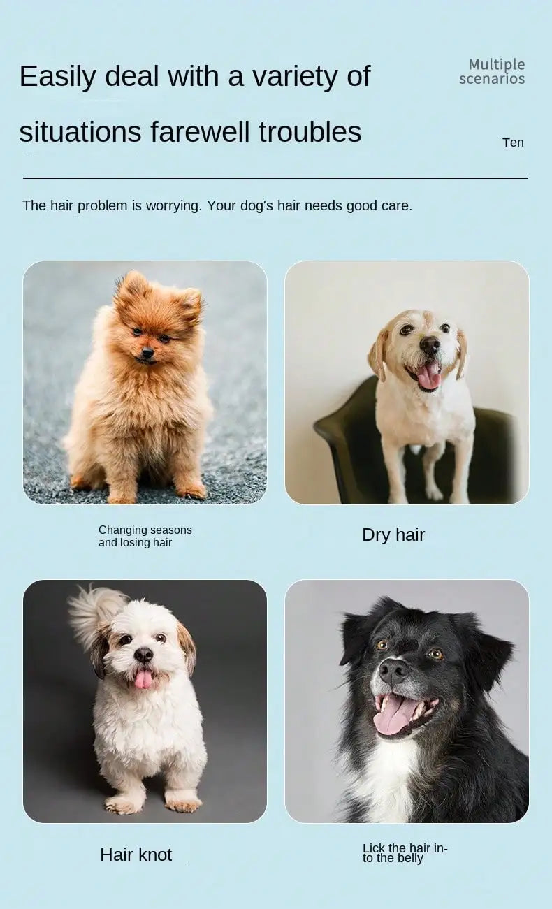 Edelstahl-Floh- und Laus-Kamm-Set für Hunde und Katzen