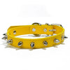 Studded PU Leather Dog Collar with Metal Accents