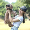 Adjustable Pet Baseball Hat with Ear Holes