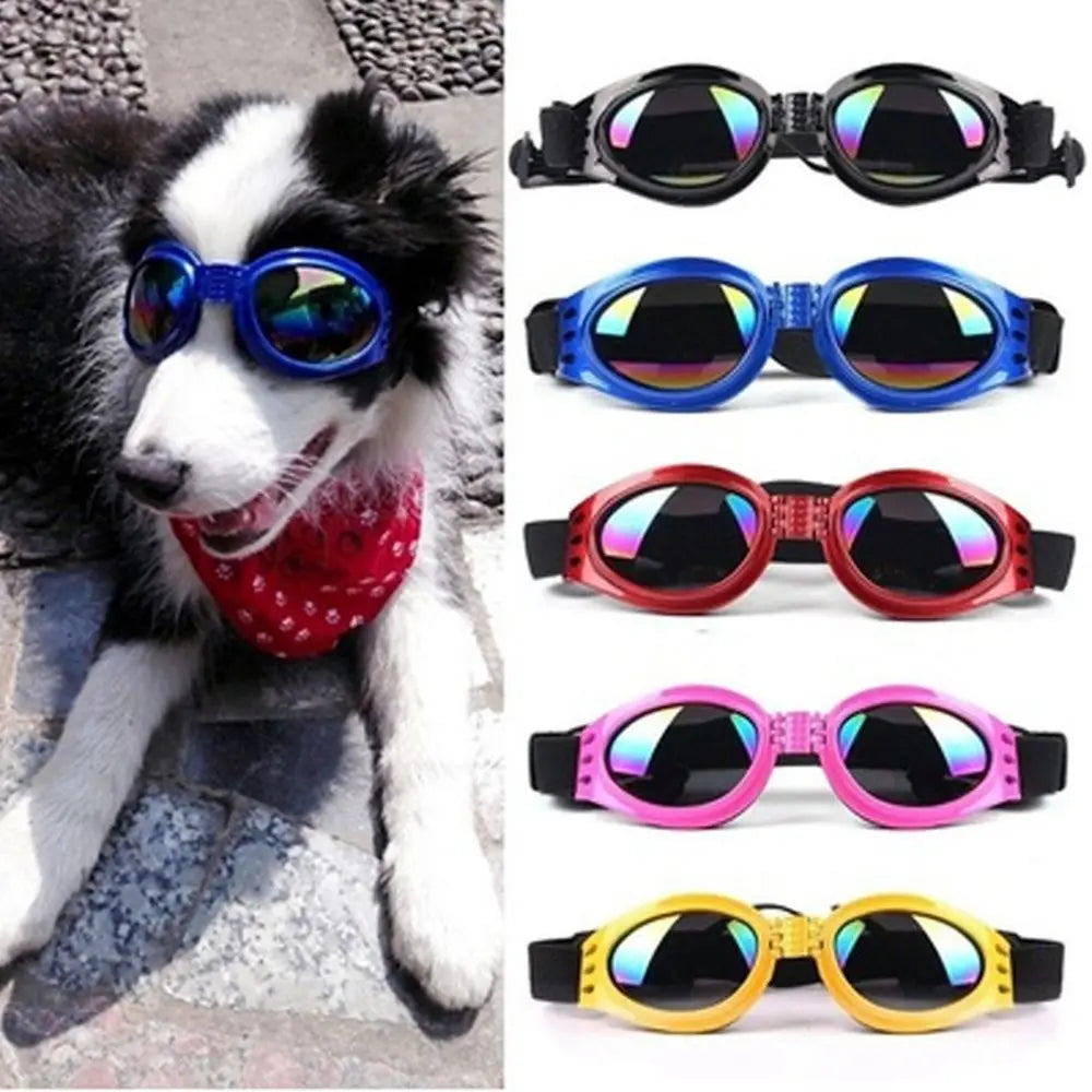 A collection of durable pet sunglasses in various colors and styles for UV protection.