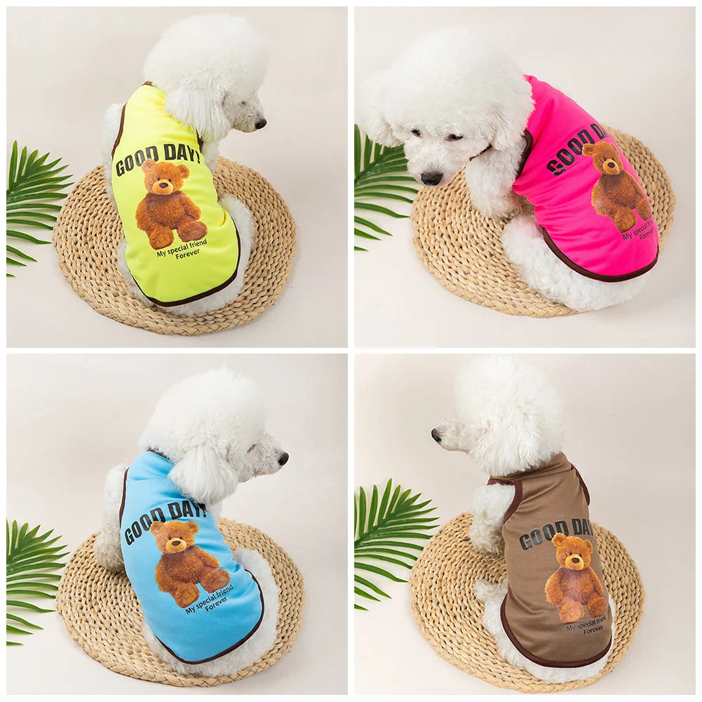 A collection of pet vests featuring a cartoon bear print in various colors like yellow, pink, and brown.