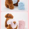 Disposable Dog Diapers for Females