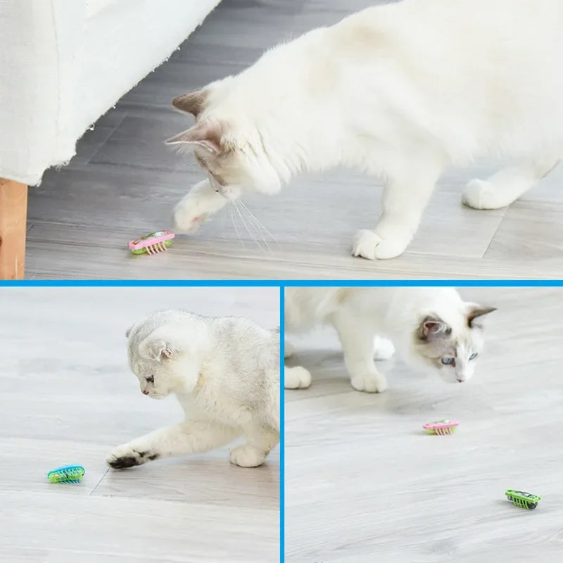 Electric Catnip Bug Toy for Cats
