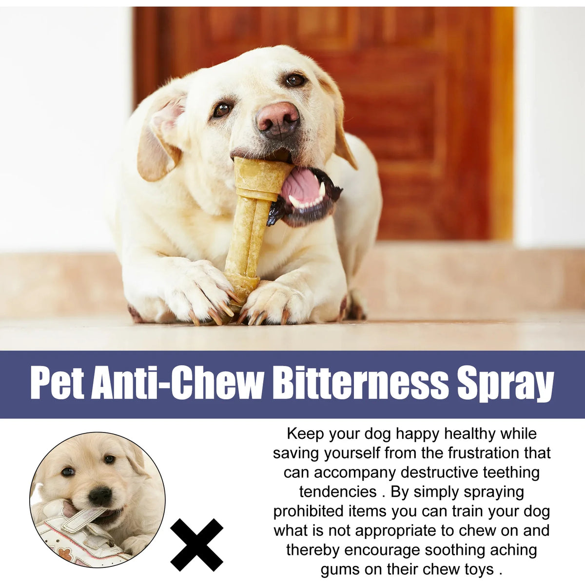 Un chien de couleur claire tient un jouet à mâcher, avec une bouteille de spray anti-morsure pour animaux exposée.