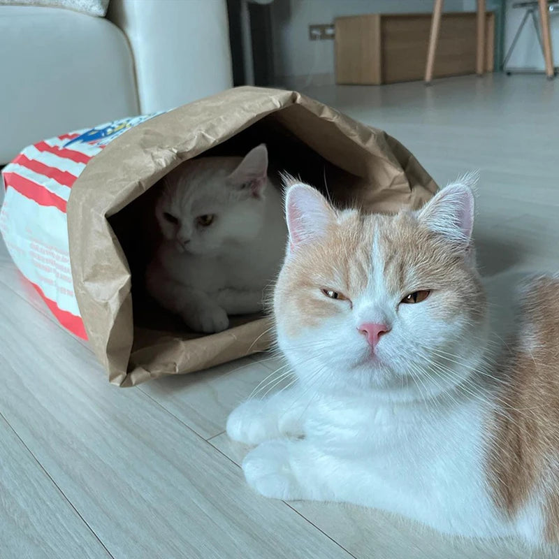 Jeu Puzzle en Papier Interactif pour Chiens et Chats