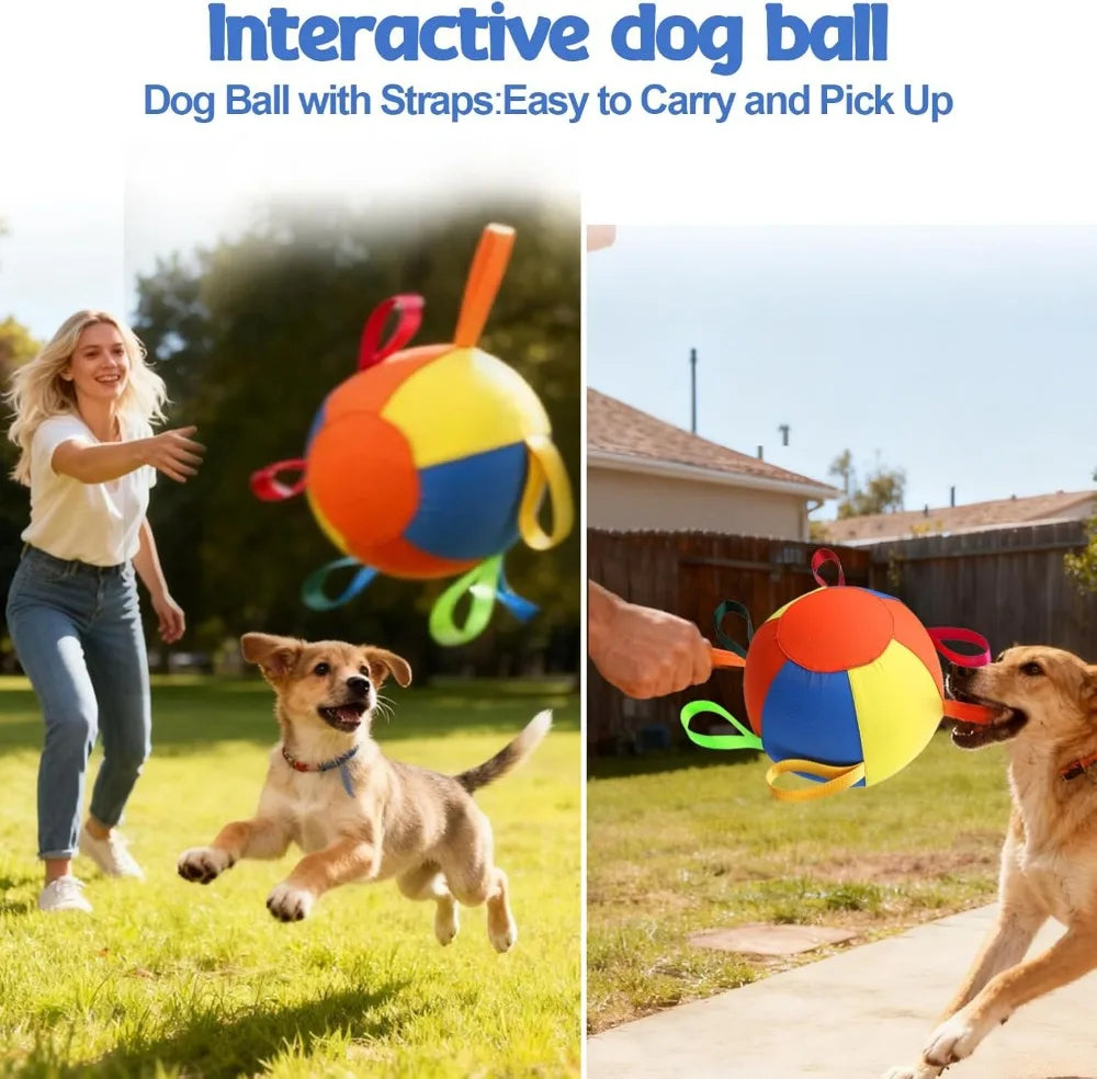 A dog is playing with an orange and blue inflatable ball with grips on a sunny lawn.