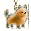 Pet Memorial Fur Keepsake Keychain Pendant
