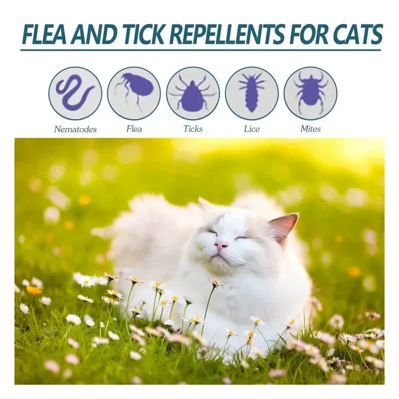 Un chat blanc allongé dans un champ vert de fleurs, illustrant des répulsifs contre les puces et les tiques pour chats.