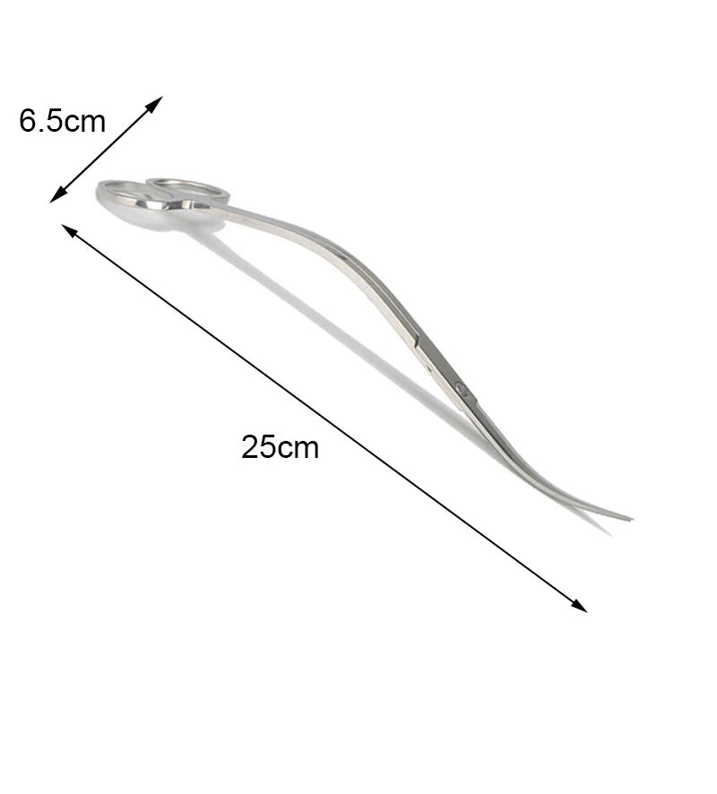 Stainless Steel Aquarium Tool Set with Scissors, Tweezers, and Shovel