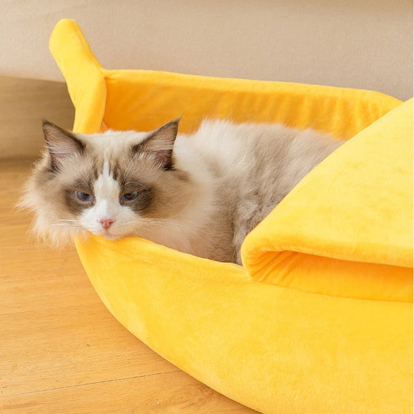 A fluffy gray and white cat is resting inside a bright yellow banana-shaped cat bed.