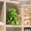 Realistic Artificial Monstera Potted Plant