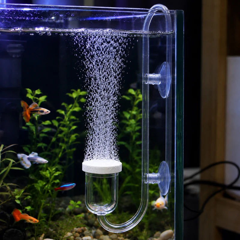 A clear glass aquarium setup showing an aquarium CO2 diffuser with a bubble counter and control valve, surrounded by aquatic 