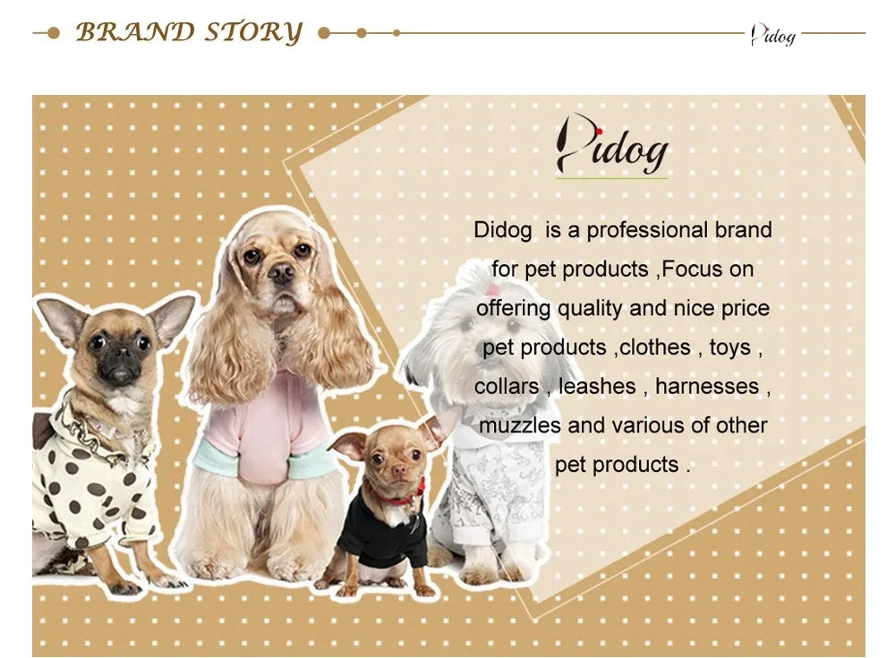 Personalized Bone-Shaped Pet ID Tag with Custom Engraving