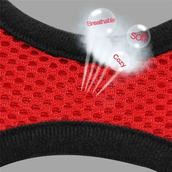 Red mesh pet harness and black collar set with breathable soft and cozy features